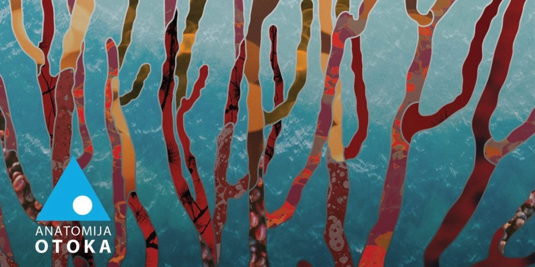 Scientific Symposium “Anatomy of the Island”