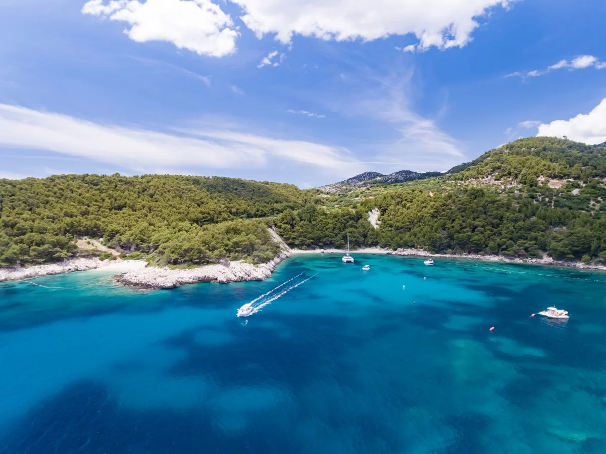 Borče prava 1200x899